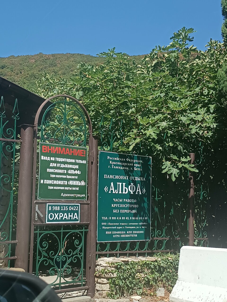 Гостевой дом Альфа Бетта-50