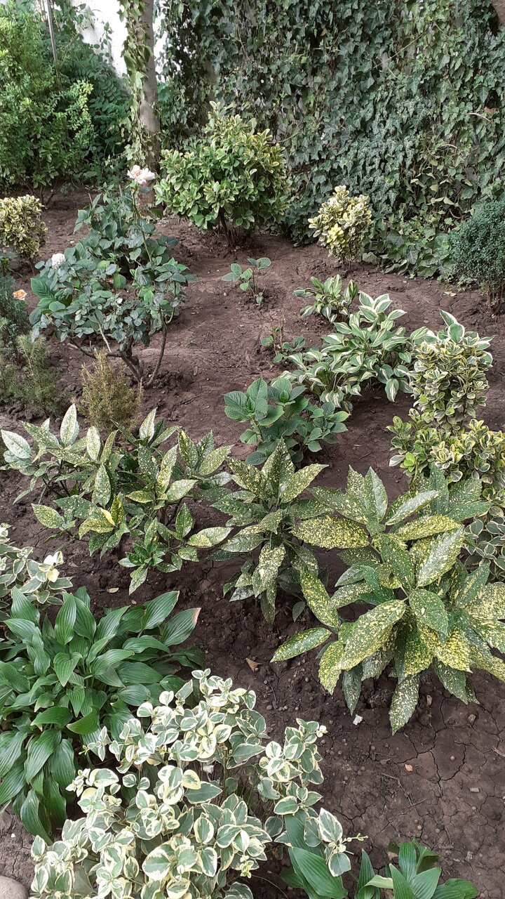 Гостевой дом Альфа Бетта-119