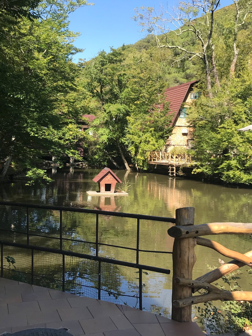 Гостевой дом Альфа Бетта-49