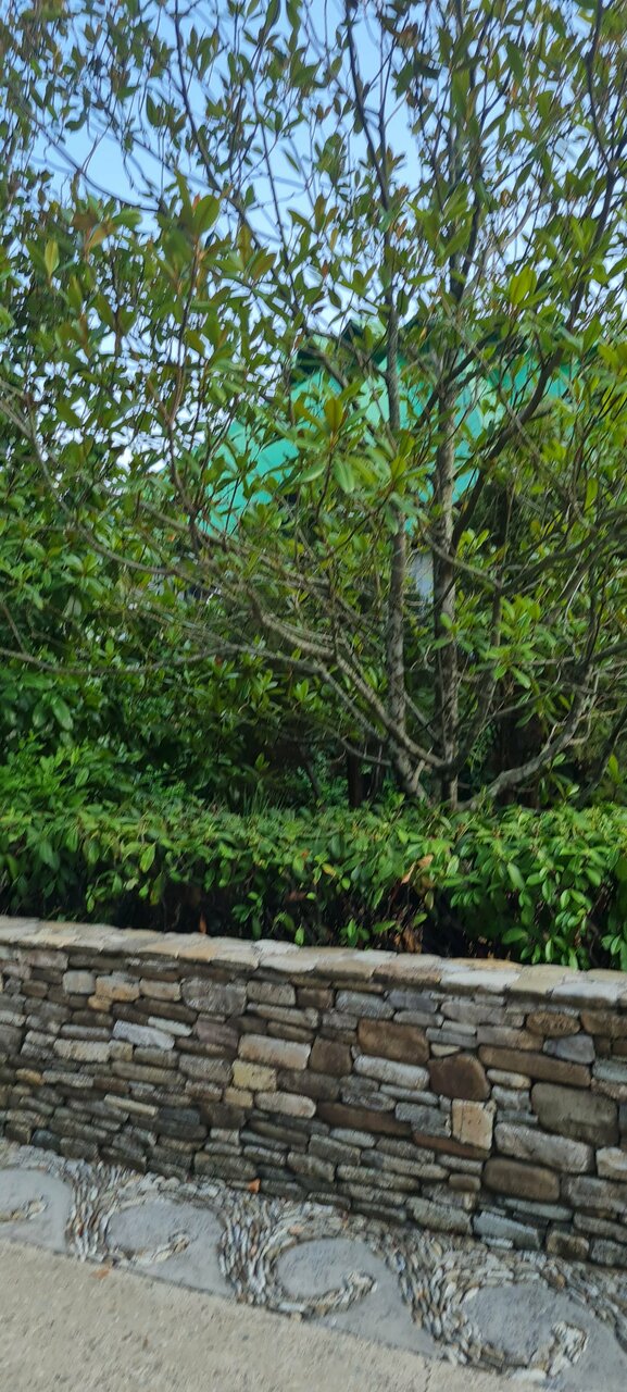 Гостевой дом Альфа Бетта-233