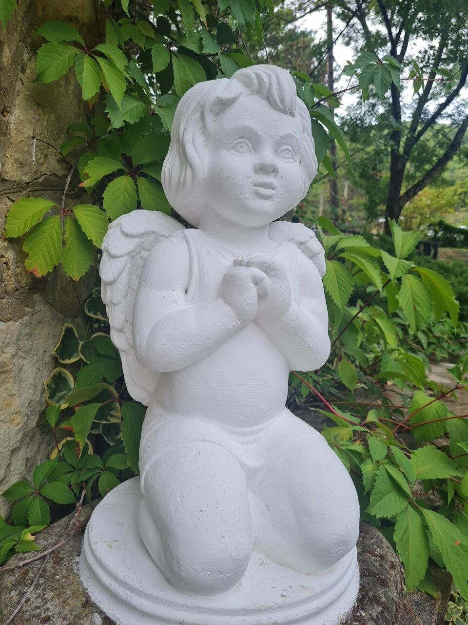 Гостевой дом Альфа Бетта-54