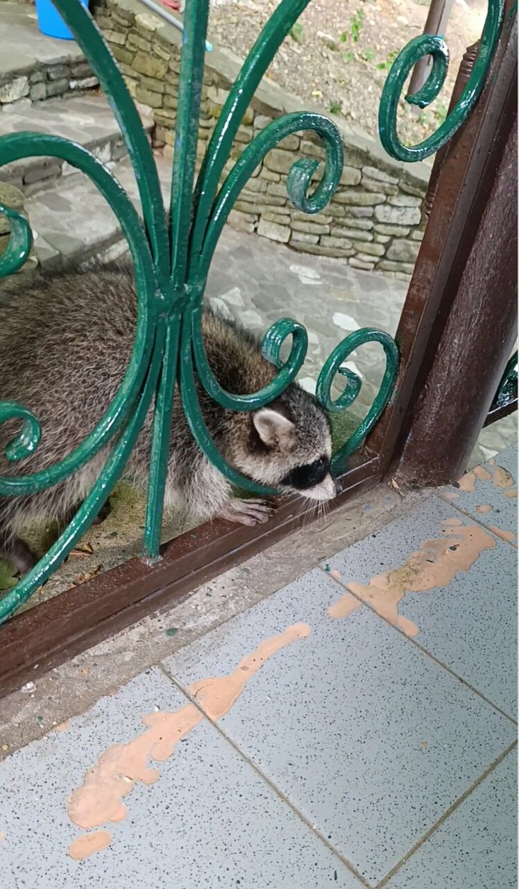 Гостевой дом Альфа Бетта-72