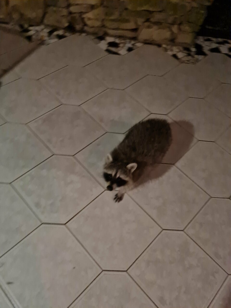 Гостевой дом Альфа Бетта-178