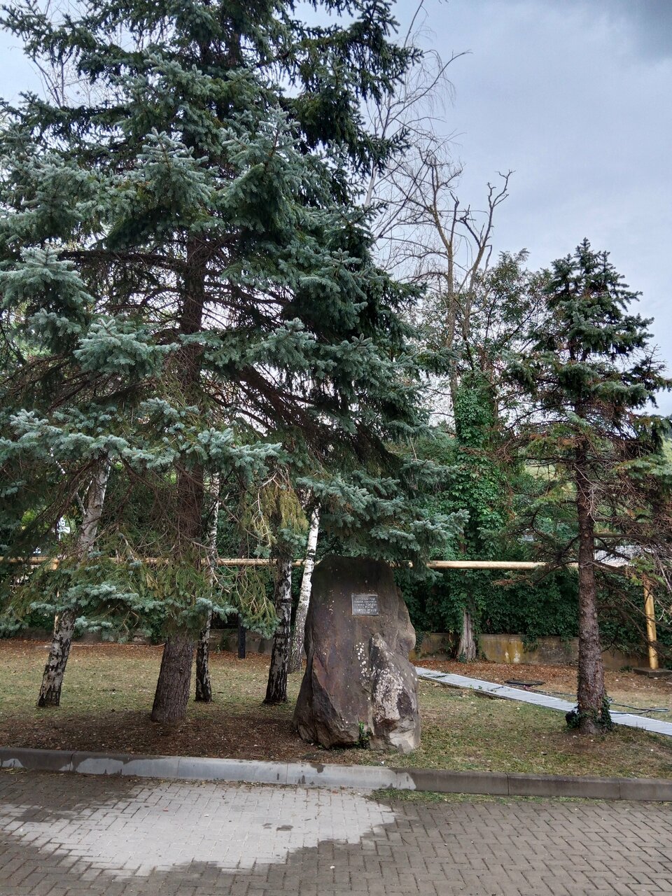 Гостевой дом Альфа Бетта