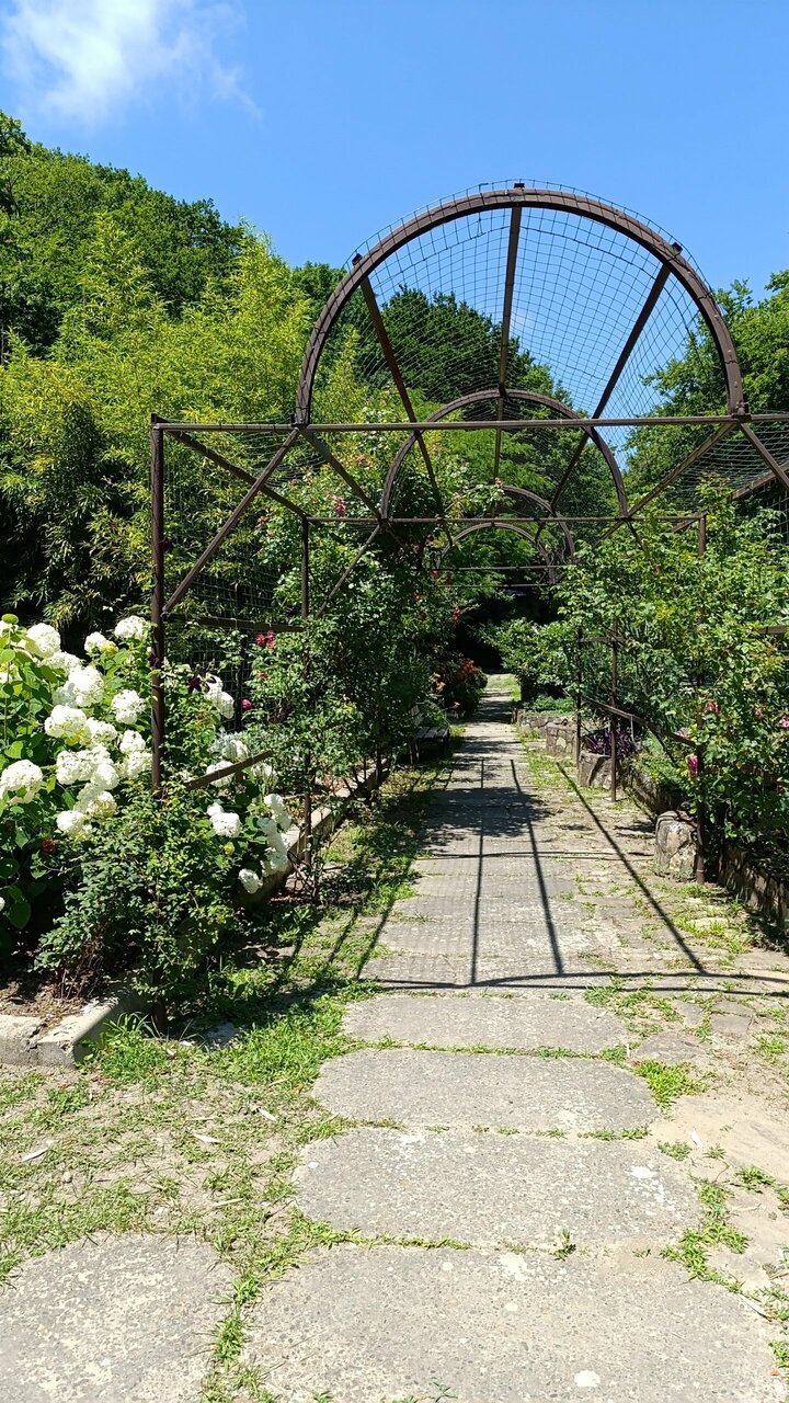 Гостевой дом Альфа Бетта-59