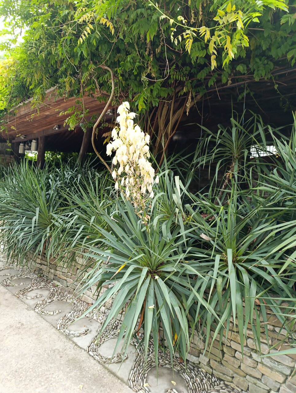 Гостевой дом Альфа Бетта-69