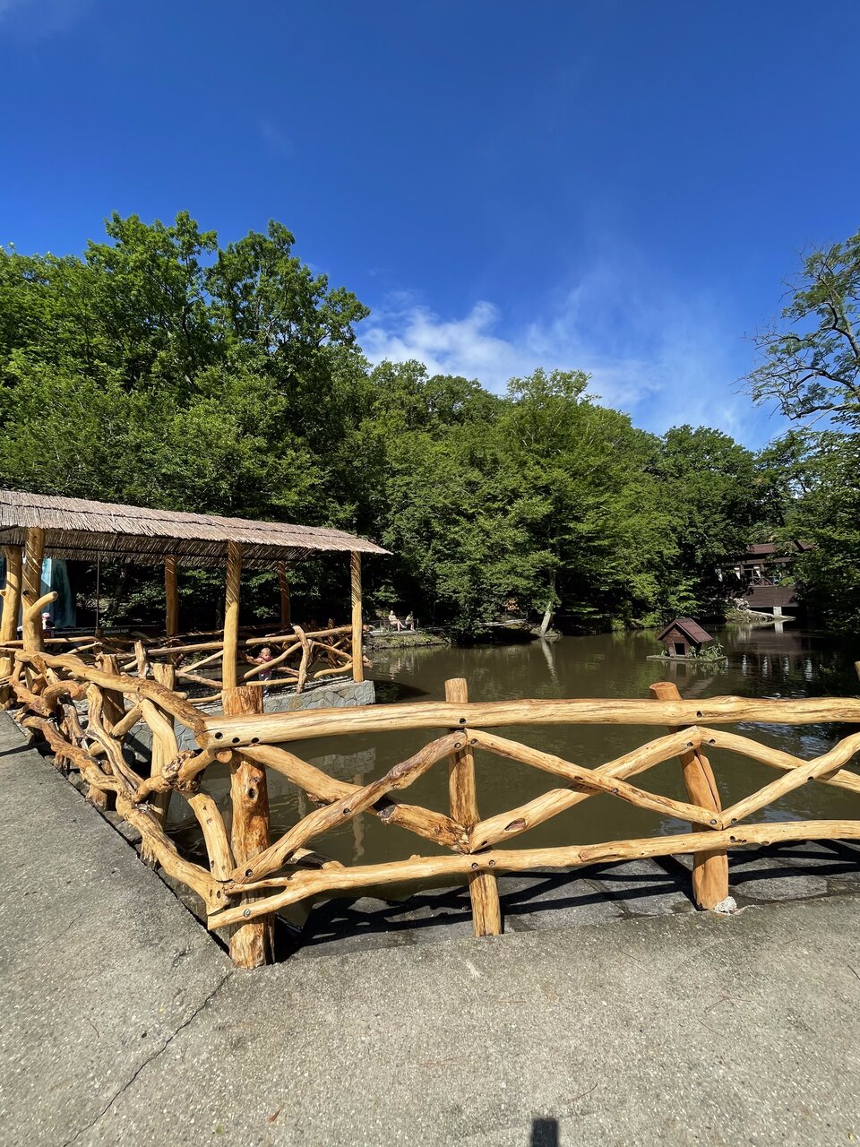 Гостевой дом Альфа Бетта-10