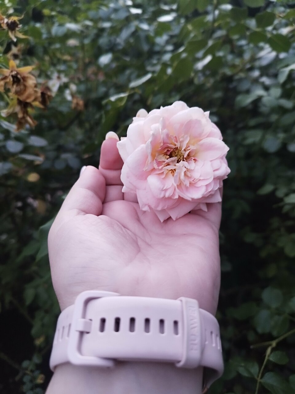 Гостевой дом Альфа Бетта-91