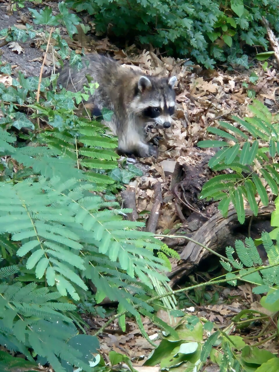 Гостевой дом Альфа Бетта-51