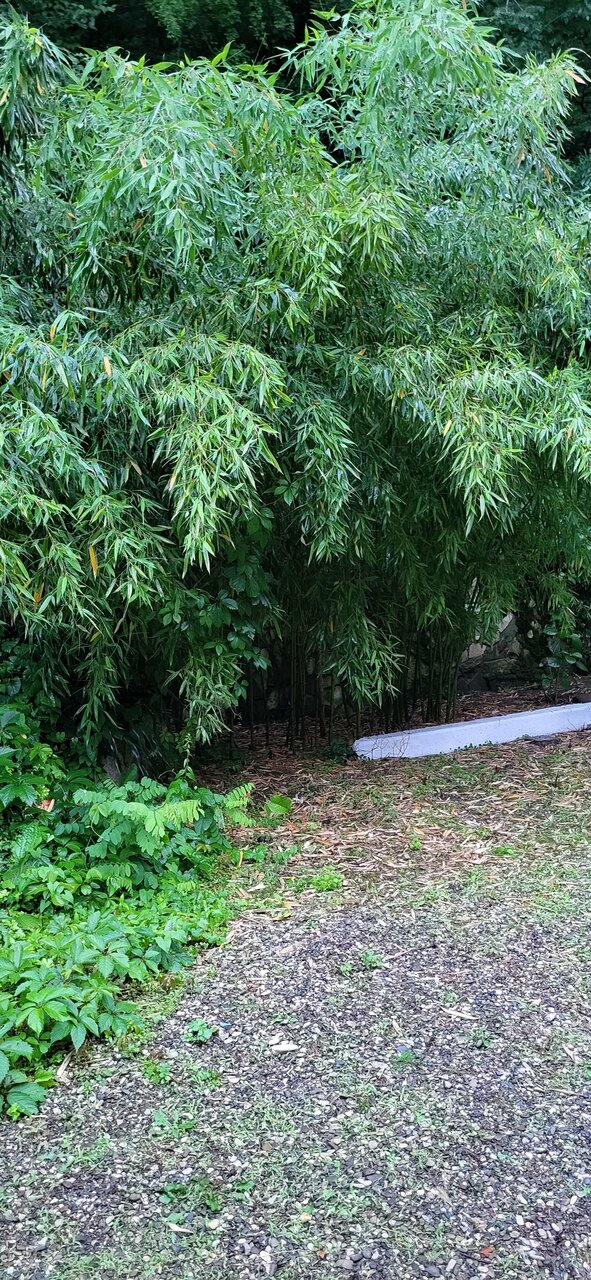 Гостевой дом Альфа Бетта-199