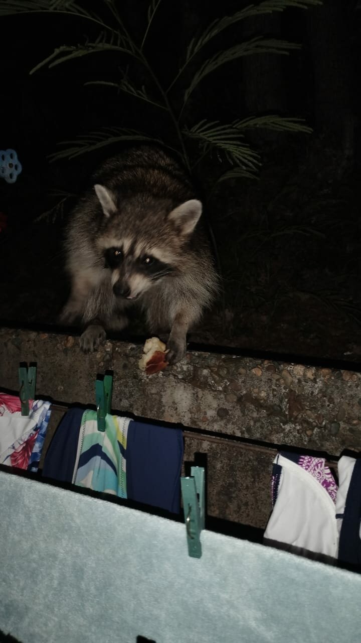 Гостевой дом Альфа Бетта-216