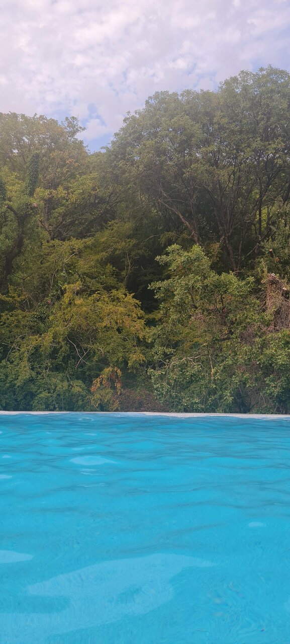 Гостевой дом Альфа Бетта-193