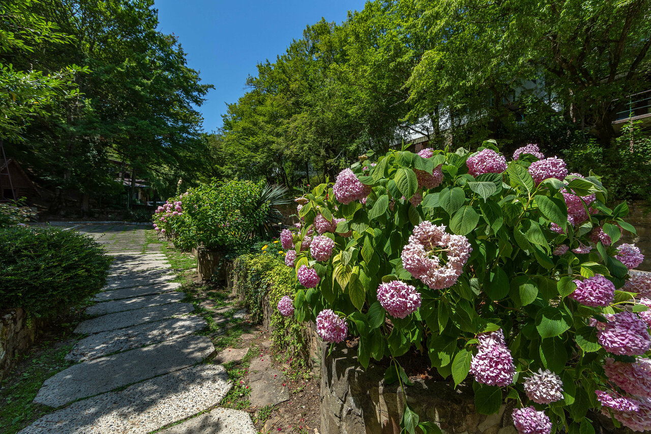 Гостевой дом Альфа Бетта-20