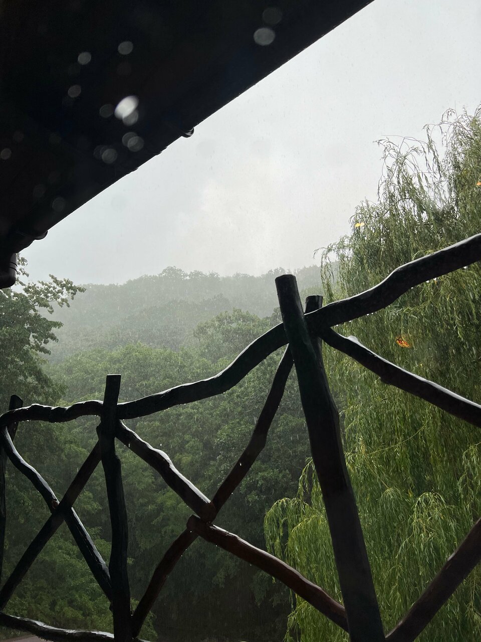 Гостевой дом Альфа Бетта-190