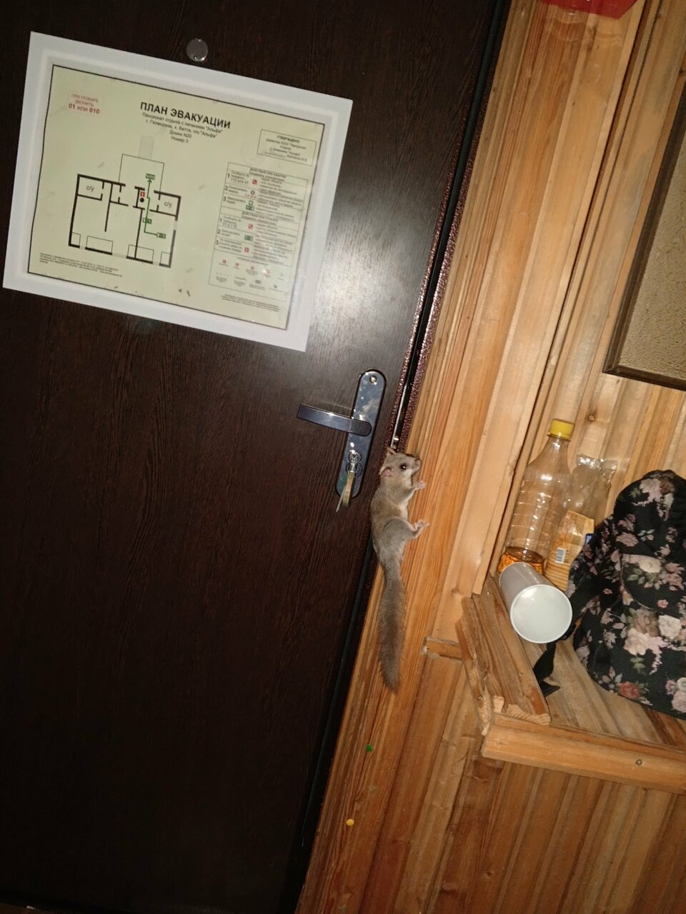 Гостевой дом Альфа Бетта-163