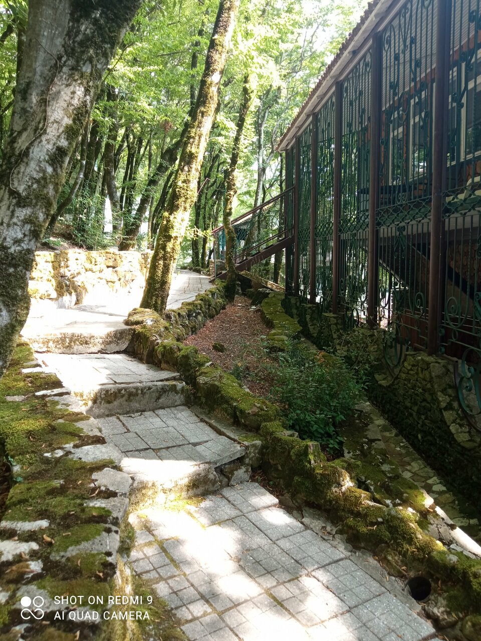 Гостевой дом Альфа Бетта-137