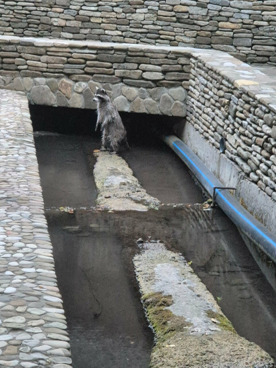 Гостевой дом Альфа Бетта-198