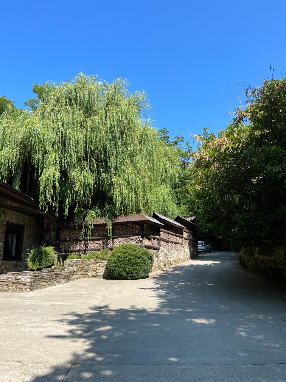 Гостевой дом Альфа Бетта-238