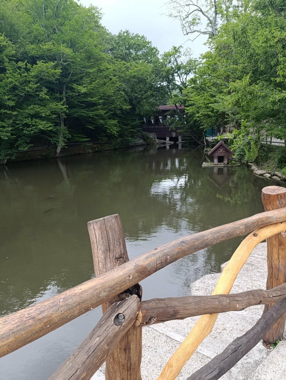 Гостевой дом Альфа Бетта-237