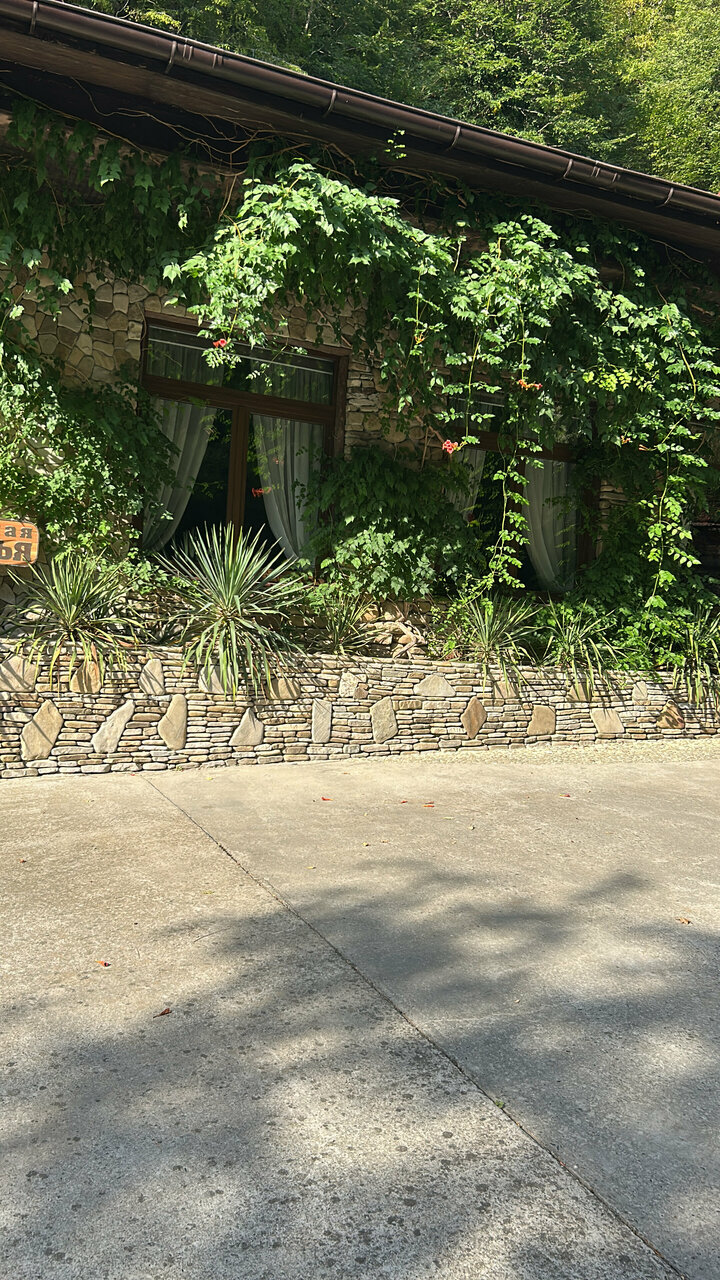 Гостевой дом Альфа Бетта-247