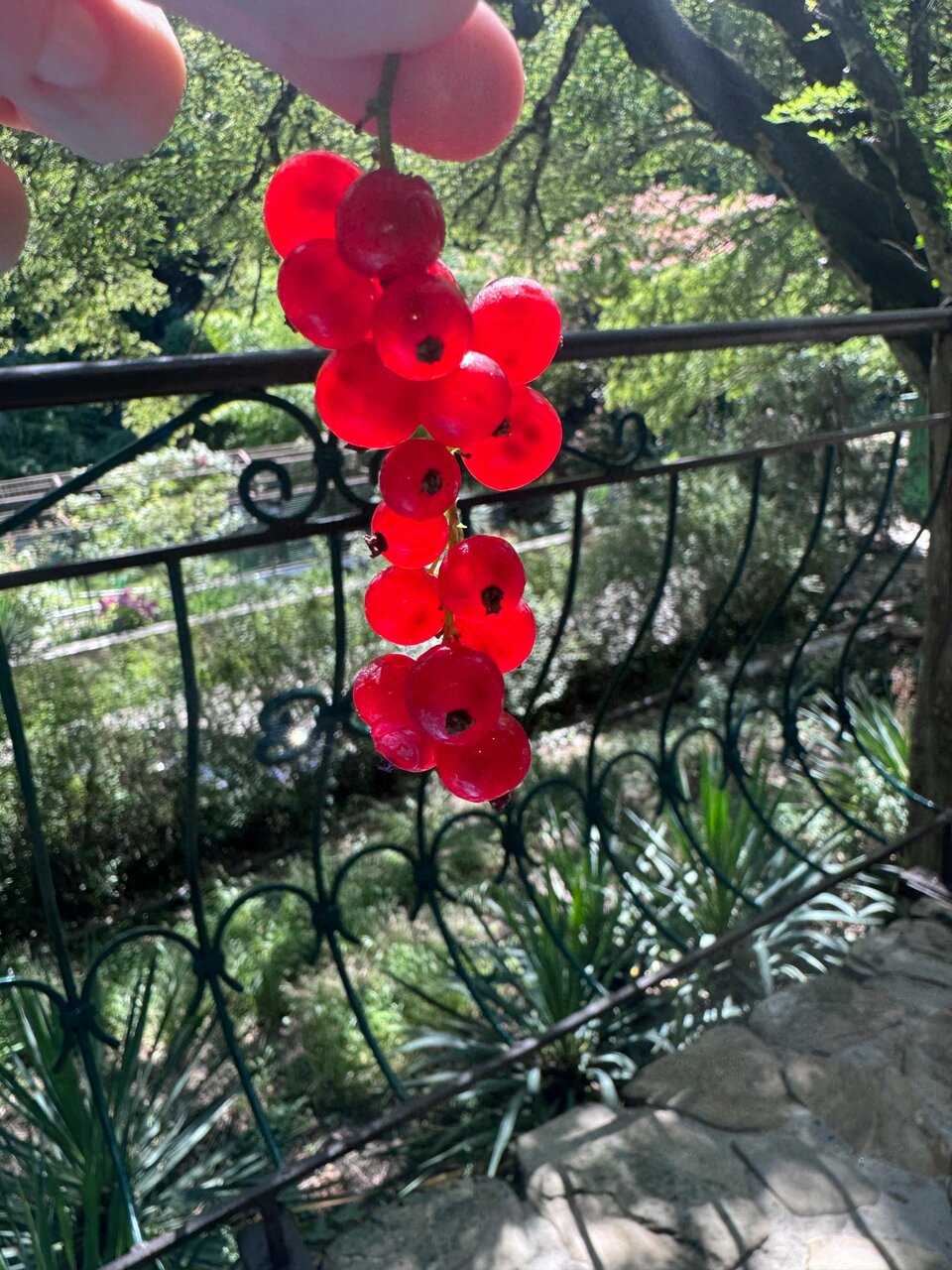 Гостевой дом Альфа Бетта-118