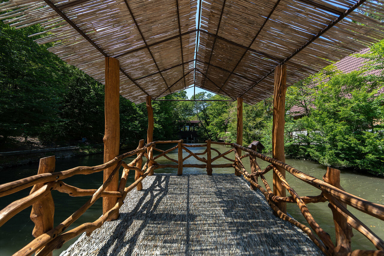 Гостевой дом Альфа Бетта-30