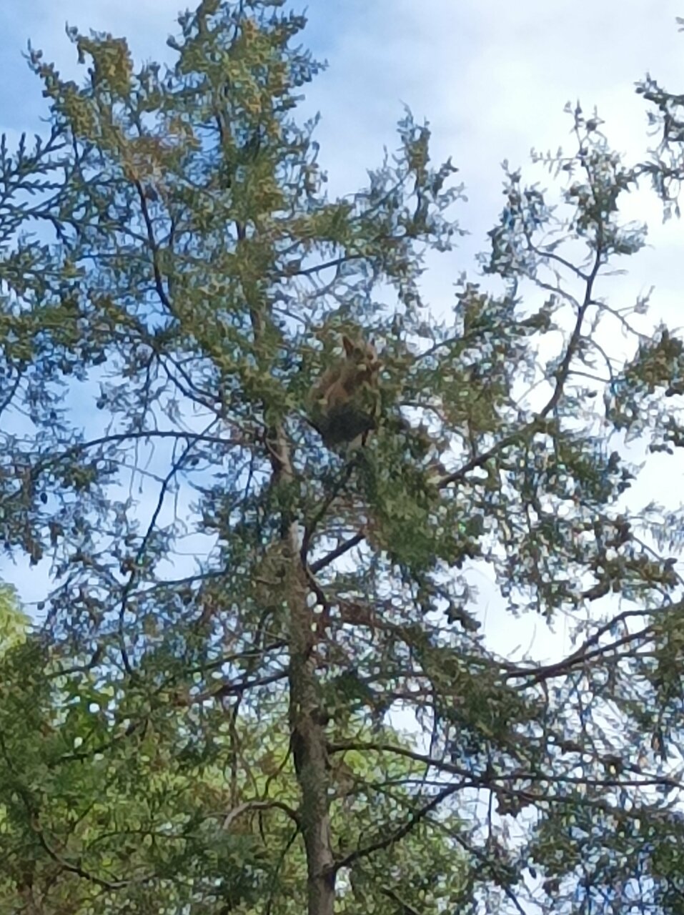 Гостевой дом Альфа Бетта-180