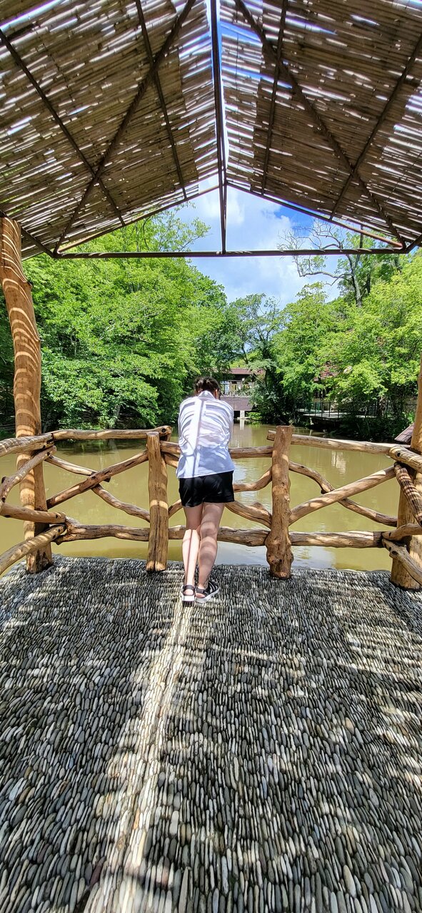 Гостевой дом Альфа Бетта-208