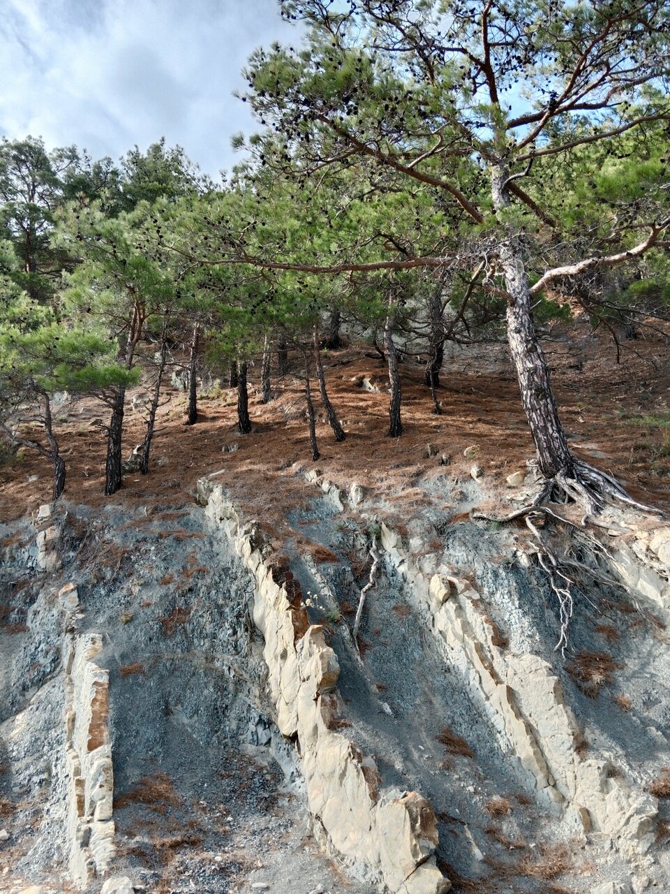 Гостевой дом Альфа Бетта-65