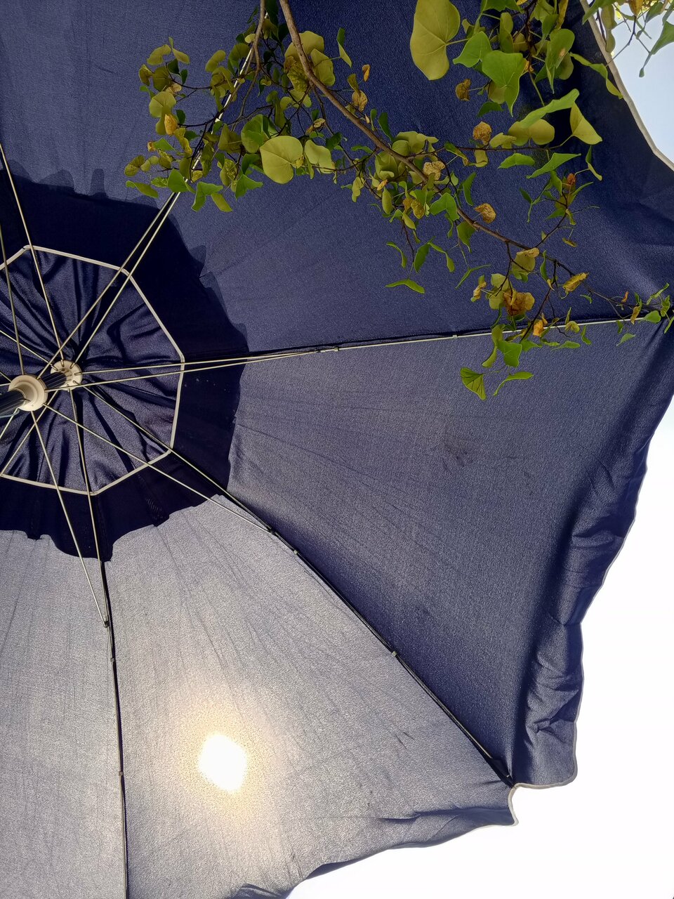 Гостевой дом Альфа Бетта-81