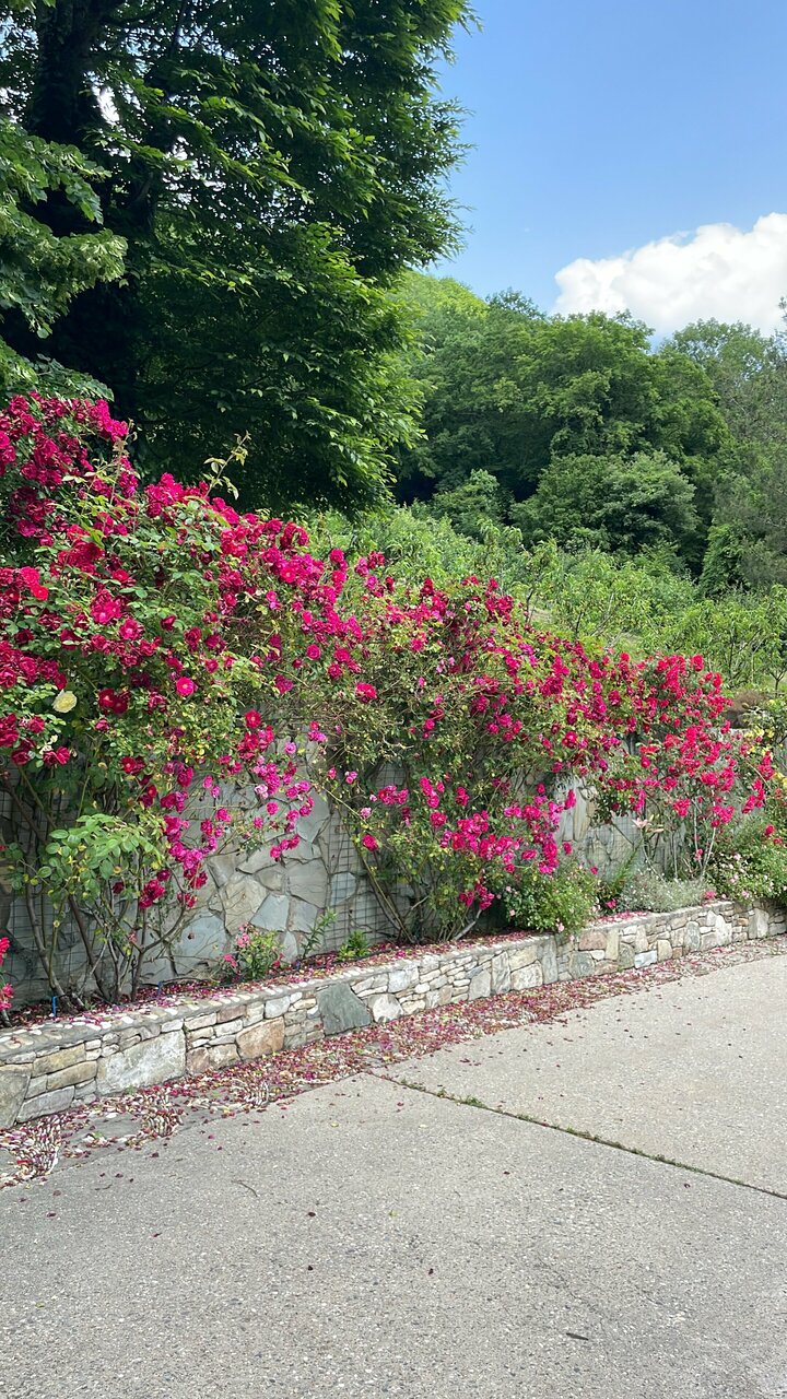 Гостевой дом Альфа Бетта-188