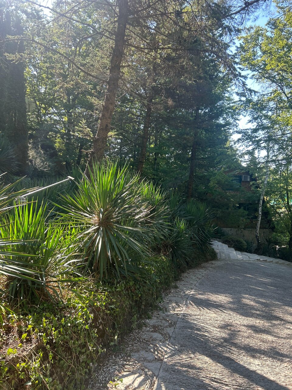 Гостевой дом Альфа Бетта-249