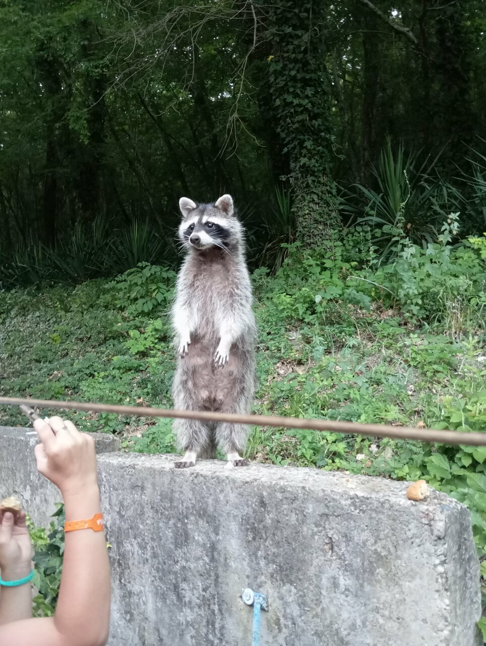 Гостевой дом Альфа Бетта-99