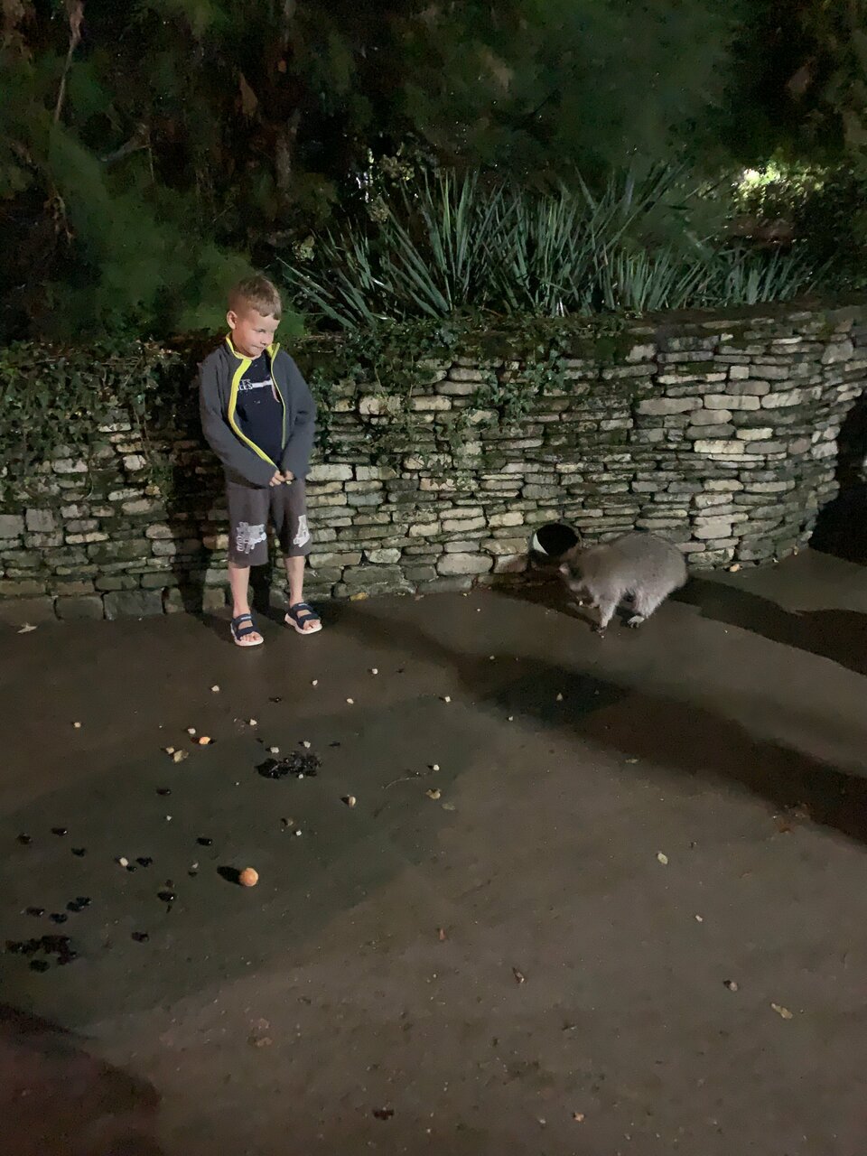 Гостевой дом Альфа Бетта-222