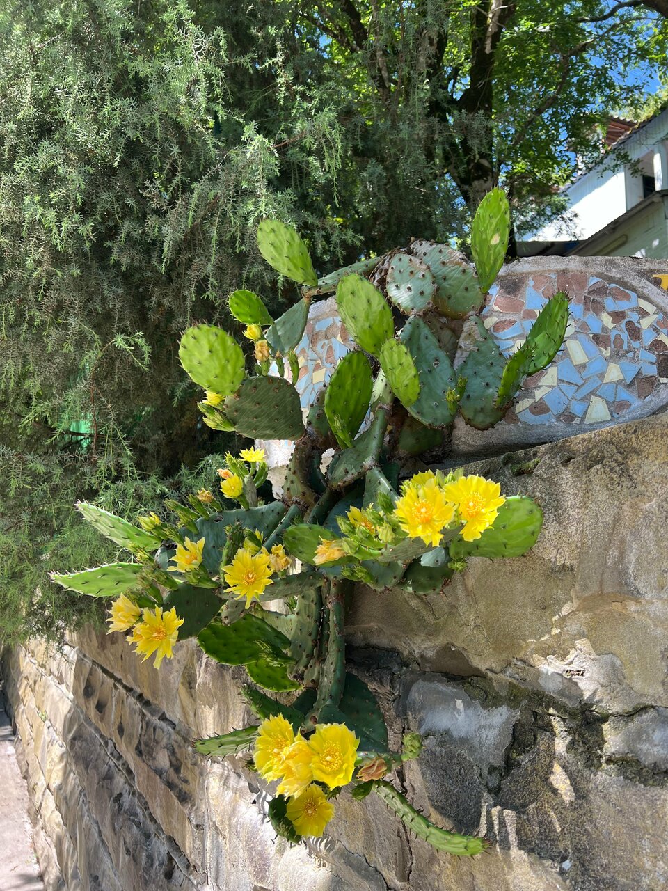 Гостевой дом Альфа Бетта-96