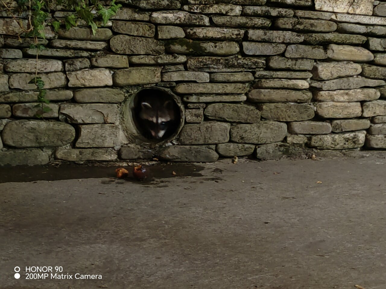 Гостевой дом Альфа Бетта-124