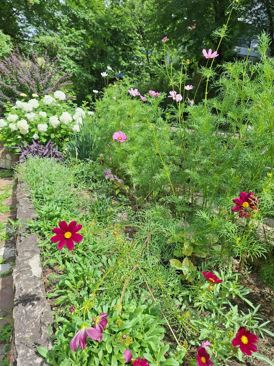 Гостевой дом Альфа Бетта