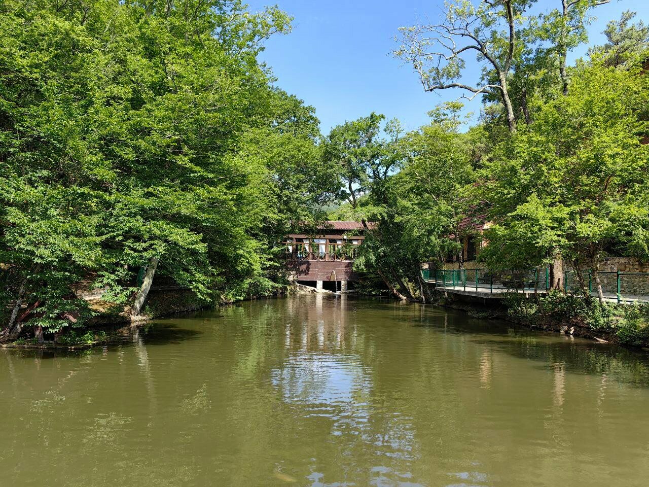 Гостевой дом Альфа Бетта-217