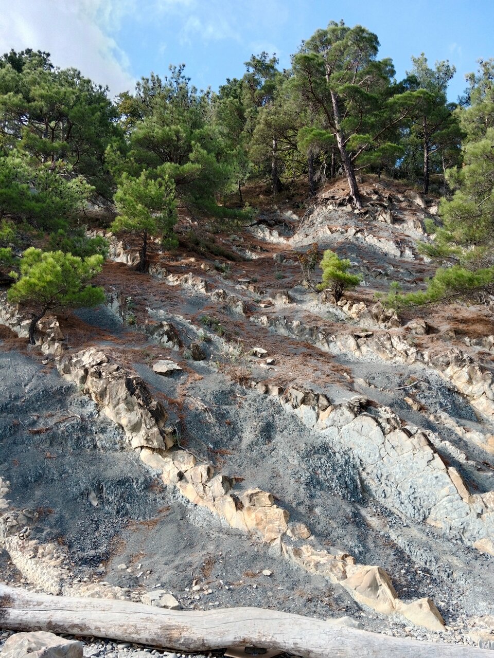 Гостевой дом Альфа Бетта-246