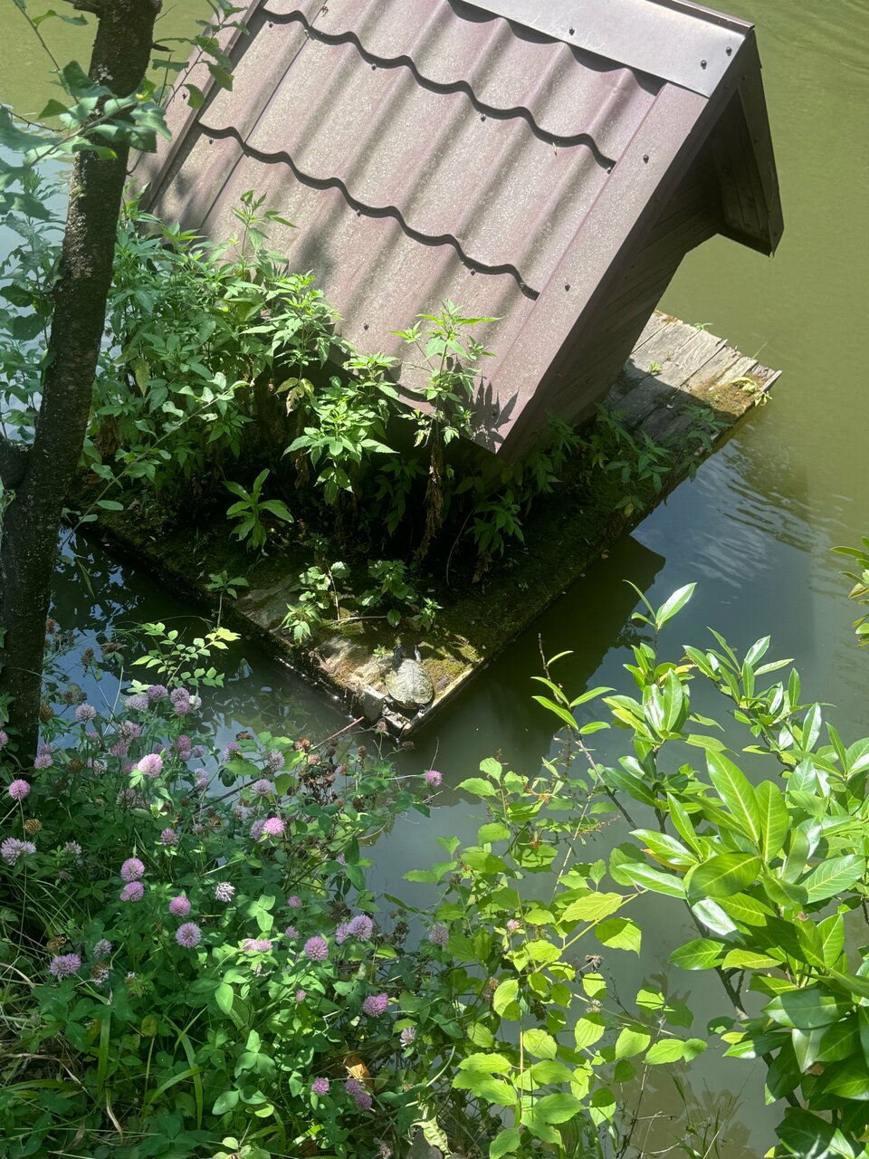 Гостевой дом Альфа Бетта-89