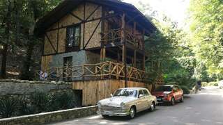 Гостевой дом Альфа Бетта Cемейный номер "Гнездо Совы"-5