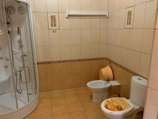 Гостевой дом Альфа Бетта Семейный номер "Розовый сад"-5