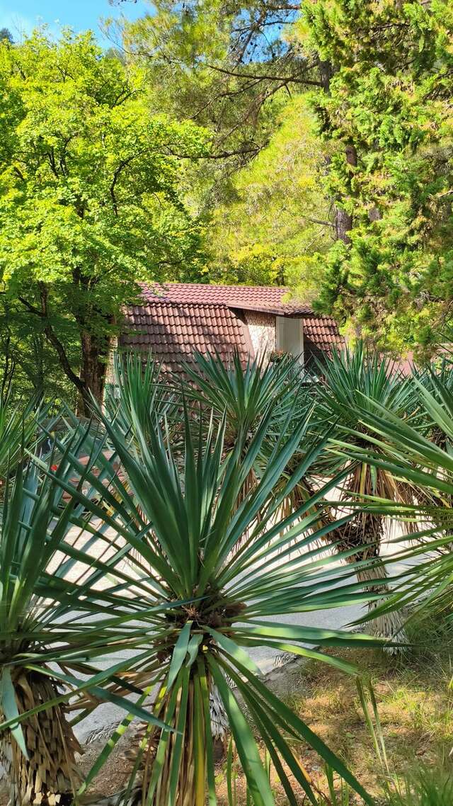 Гостевой дом Альфа Бетта-135