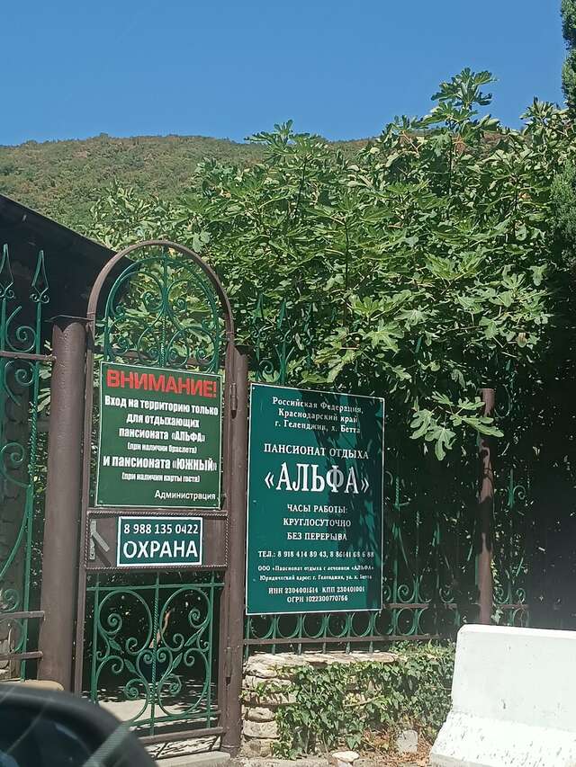 Гостевой дом Альфа Бетта-49