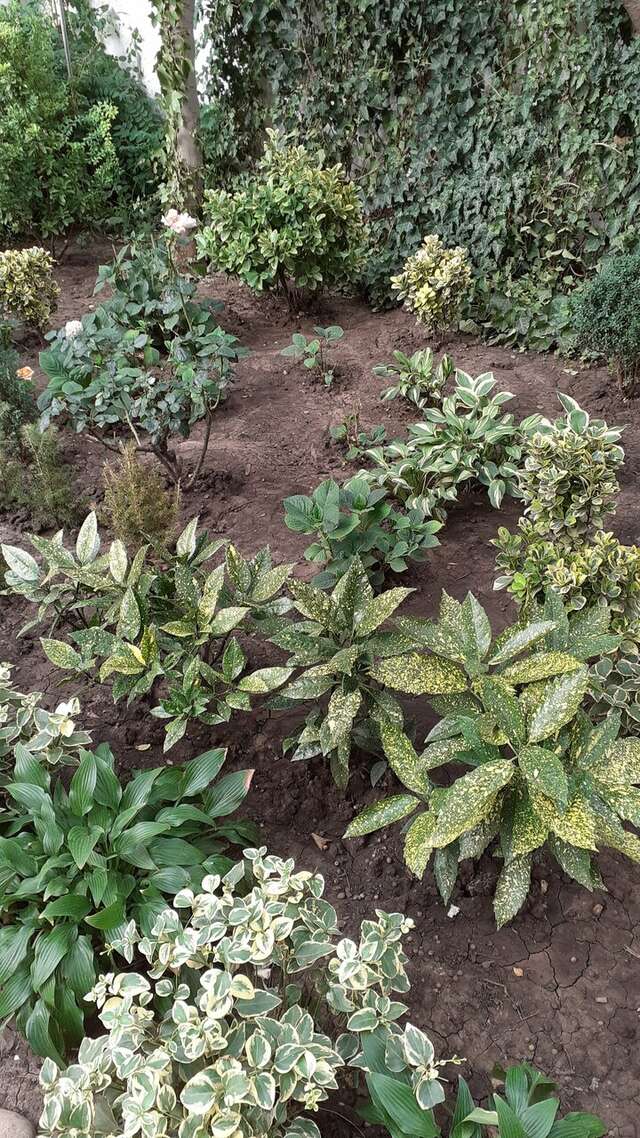 Гостевой дом Альфа Бетта-118