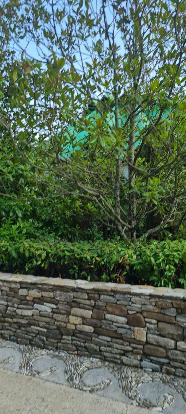 Гостевой дом Альфа Бетта-232