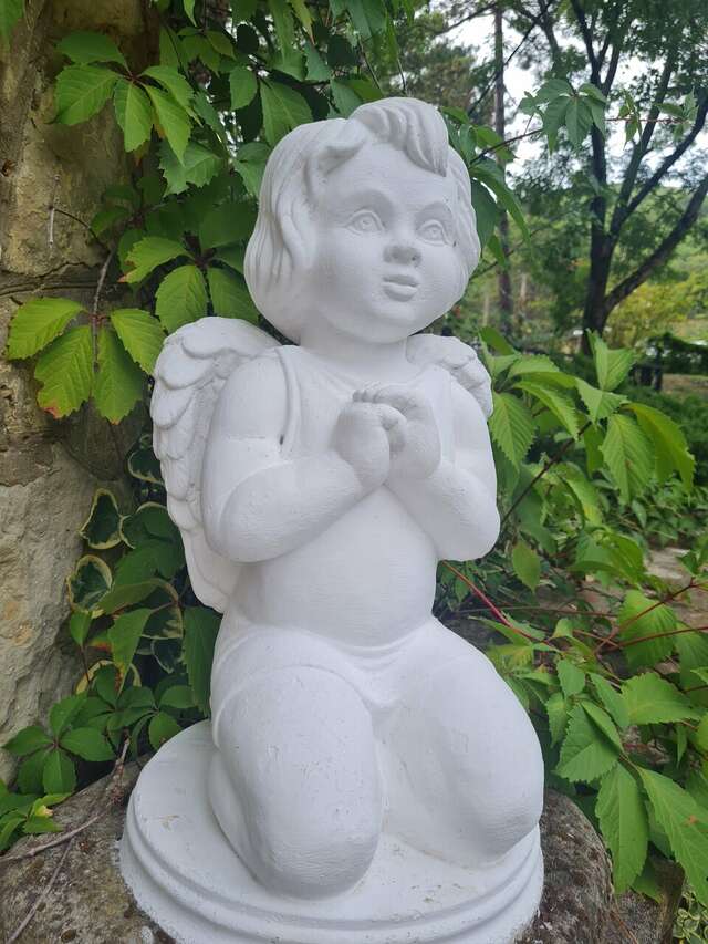 Гостевой дом Альфа Бетта-53