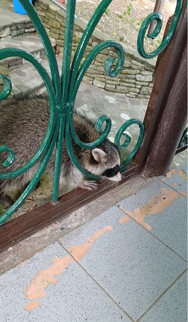 Гостевой дом Альфа Бетта-71