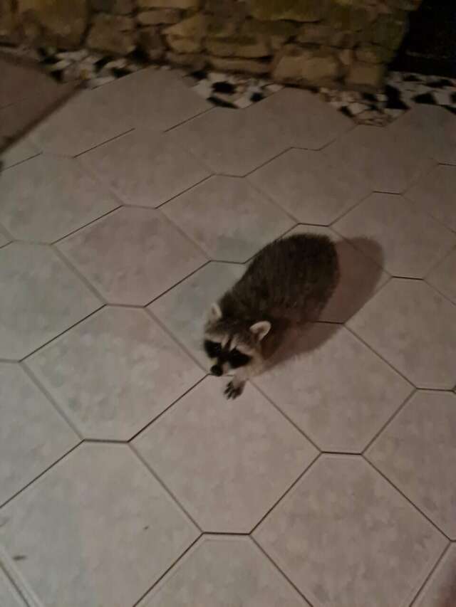 Гостевой дом Альфа Бетта-177