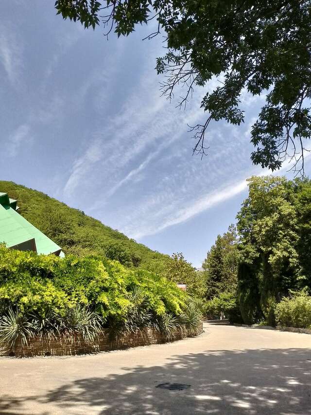 Гостевой дом Альфа Бетта-196